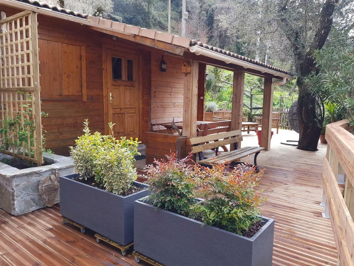 Le Chalet De Valentine & Laurent Olmiccia Exterior foto